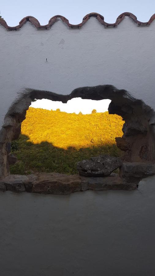 Gite Dans Ancienne Bergerie En Pleine Garrigue Fraisse-des-Corbieres ภายนอก รูปภาพ